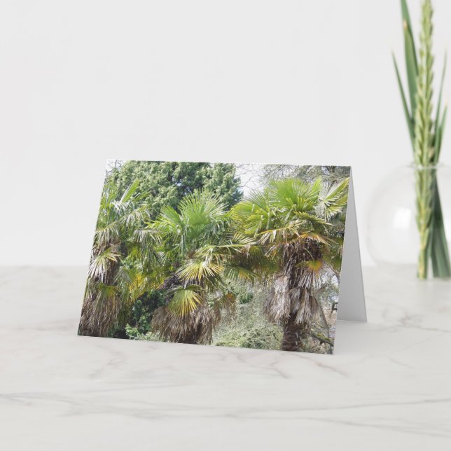 Simply Scenic Birthday card (Front)