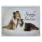 Simply Shelties Calendar