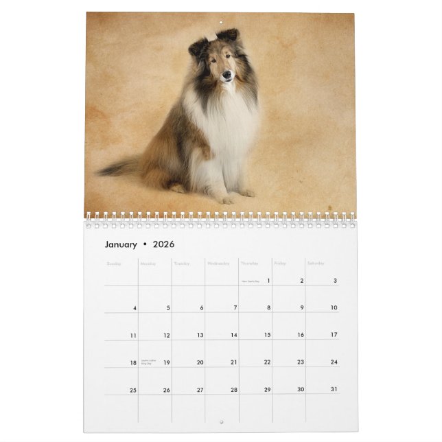 Simply Shelties Calendar (Jan 2026)