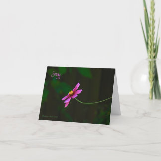Simply: Thank You! You Card