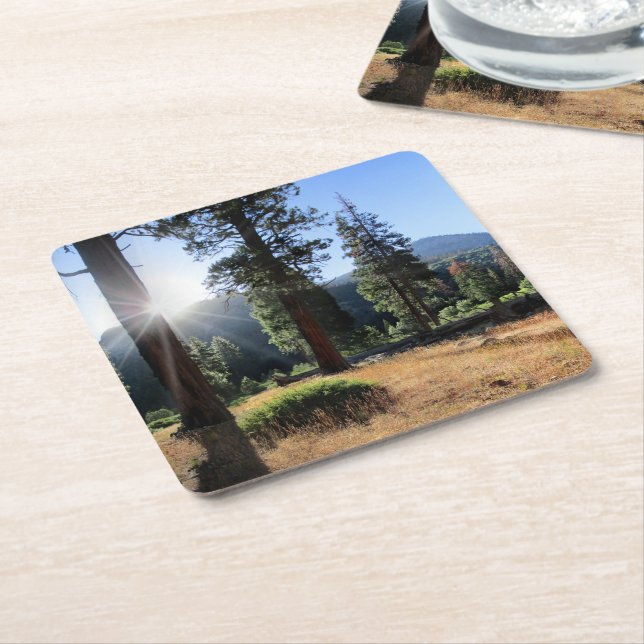 Simpson Meadow - Sierra Square Paper Coaster (Angled)