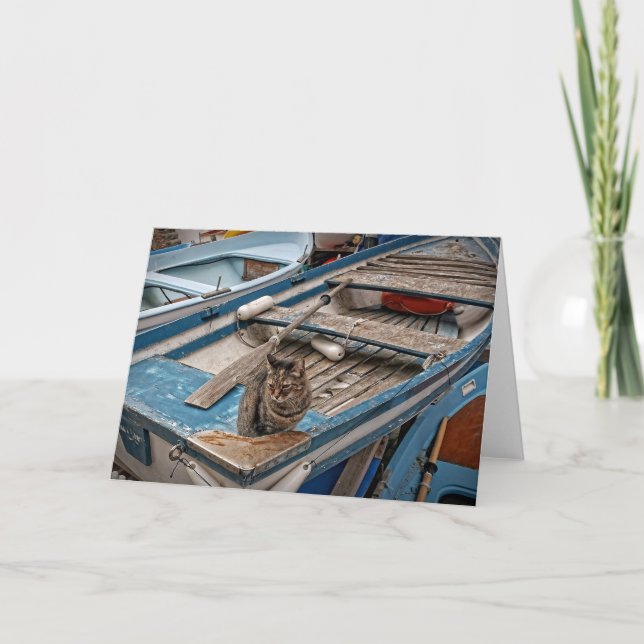 Sinbad the Sailor Cat - Greeting Card (Front)