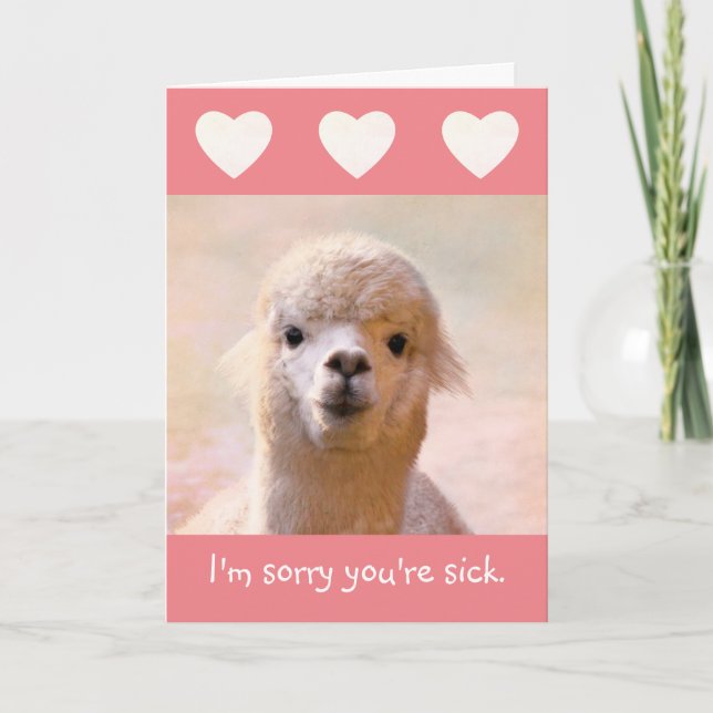 Sincere Llama Get Well Card (Front)