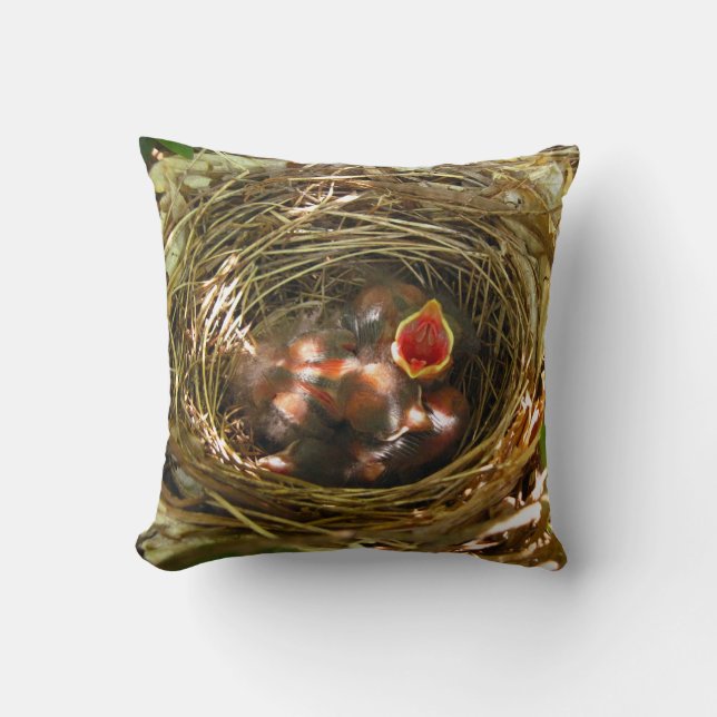 Sing Out [baby Robins] - pillow (Front)