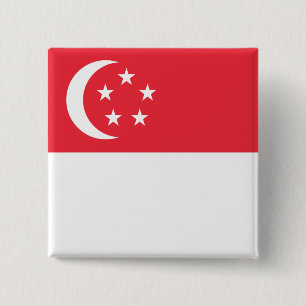 singapore 15 cm square badge