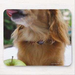 Singapore 5 mouse pad