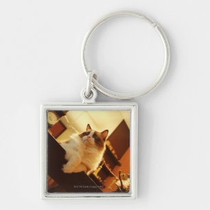 Singapore 6 key ring