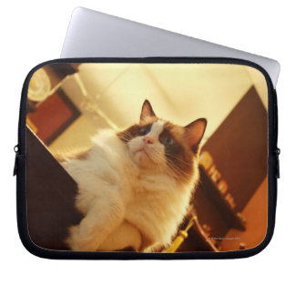 Singapore 6 laptop sleeve
