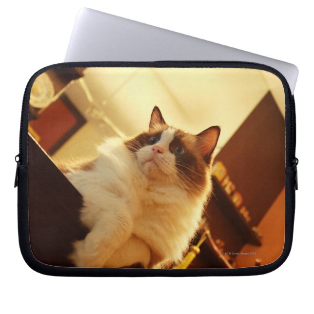 Singapore 6 laptop sleeve (Front)