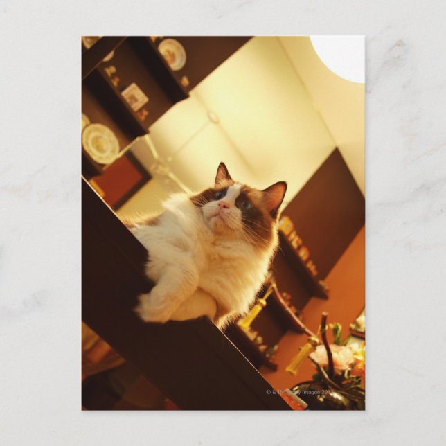 Singapore 6 postcard (Front)