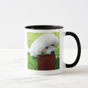 Singapore 7 mug