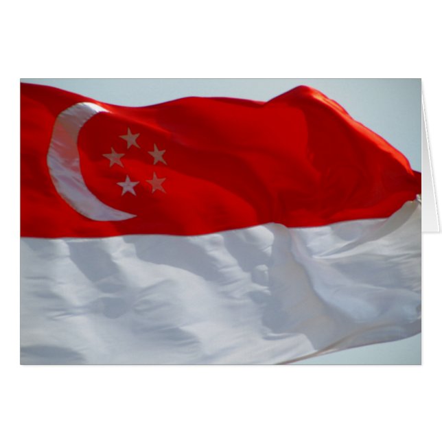 singapore flag (Front Horizontal)