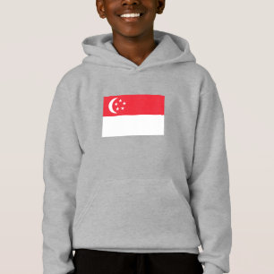 Singapore Flag