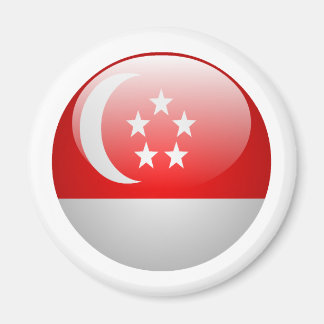 Singapore Flag Magnet