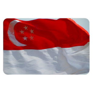 singapore flag magnet
