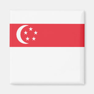 Singapore Flag Magnet