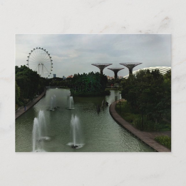 Singapore Gardens by the Bay #6 Postcard (Front)