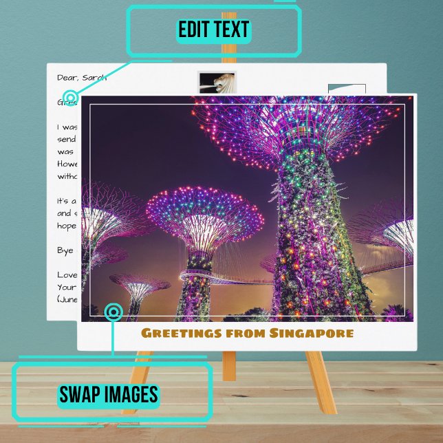 Singapore Gardens by the Bay at Night Modern Postcard (Please enjoy our postcard and see the others in the collection.)