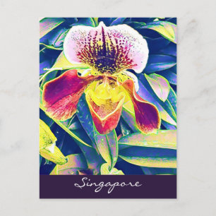 Singapore Orchid travel South East Asia Postcard