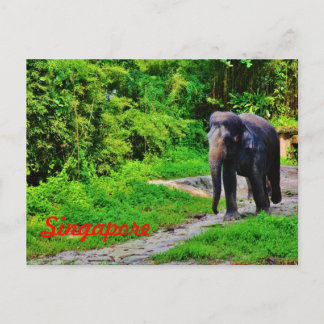 Singapore Postcard