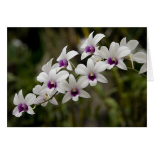 Singapore (Sanskrit for Lion City). National 2