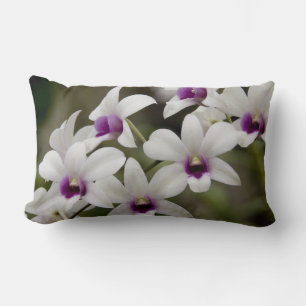 Singapore (Sanskrit for Lion City). National 2 Lumbar Cushion