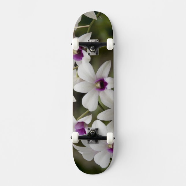 Singapore (Sanskrit for Lion City). National 2 Skateboard (Front)