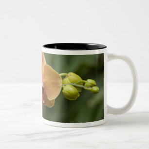 Singapore Sanskrit for Lion City). National 2 Two-Tone Coffee Mug
