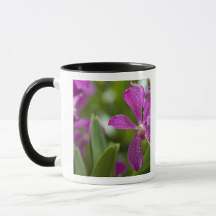 Singapore Sanskrit for Lion City). National Mug