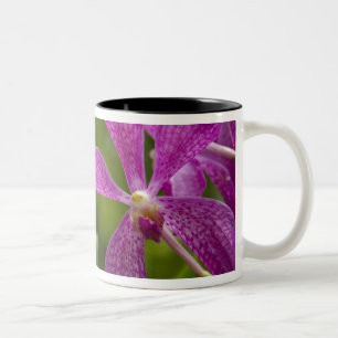 Singapore Sanskrit for Lion City). National Two-Tone Coffee Mug