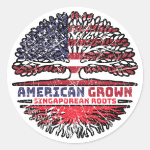 Singapore Singaporean US American USA United State Classic Round Sticker