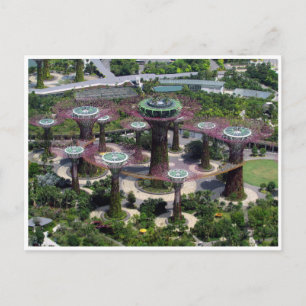singapore supertrees postcard
