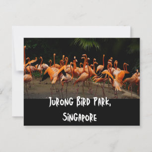 Singapore Travel Postcard