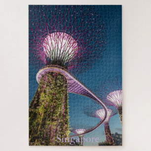 Singaport Photo Puzzle