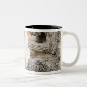 Singhat Wat Thammikarat 2 Two-Tone Coffee Mug