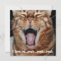 Singing Bengal Cat Birthday Valentine Mothers Day