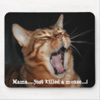 Singing Bengal Cat Queen Song Parody Meme