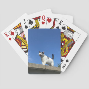 Singing Cat Playing Cards 歌う猫トランプ