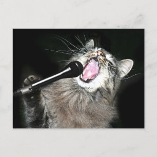 Singing cat postcard