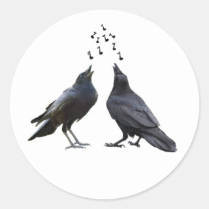 Singing Crows Stickers