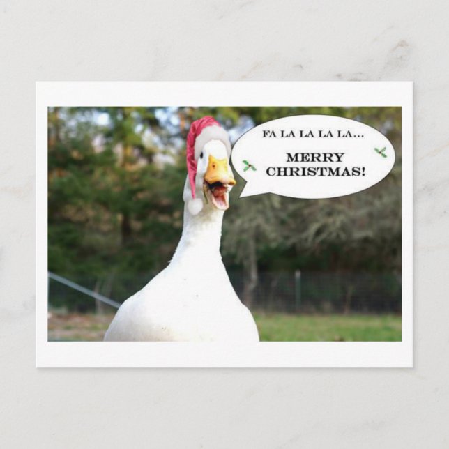 Singing Duck Holiday Card (Front)