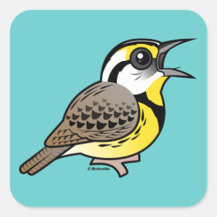 Singing Eastern Meadowlark Square Sticker