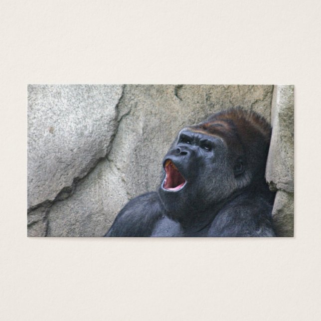 Singing gorilla profile card (Front)