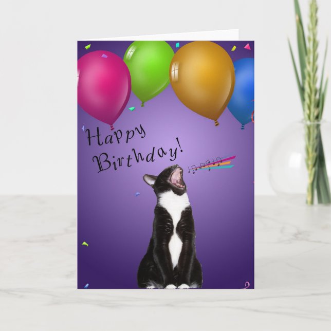 Singing Kitty Birthday Card (Front)