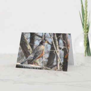 "Singing Lakeside Robin" Birthday Card