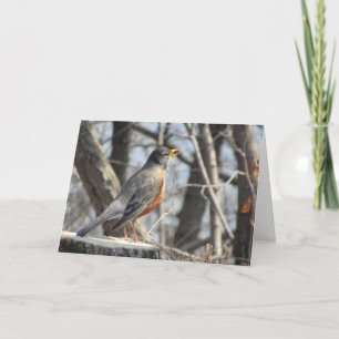 "Singing Lakeside Robin" Easter Card