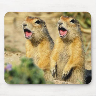 Singing Prairie Dogs Mouse Pad