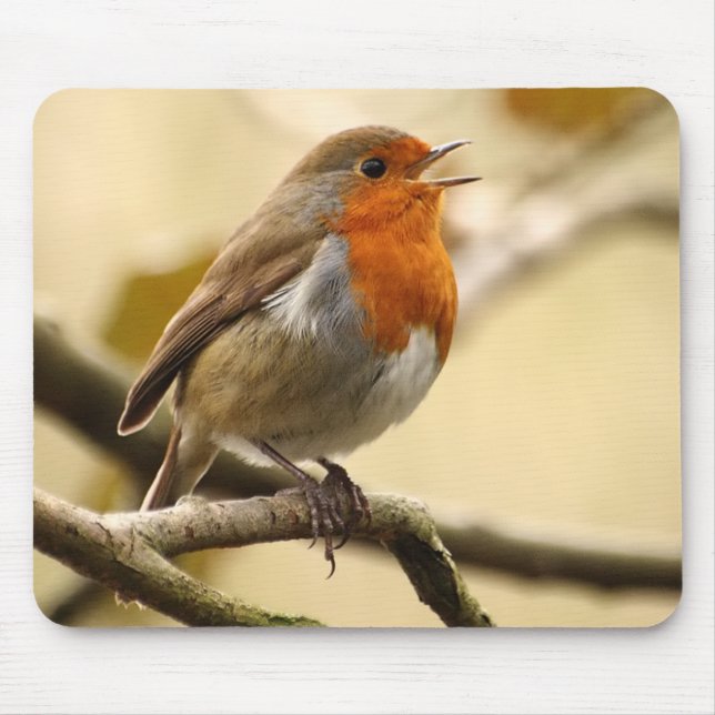 Singing Robin Mouse Pad (Front)