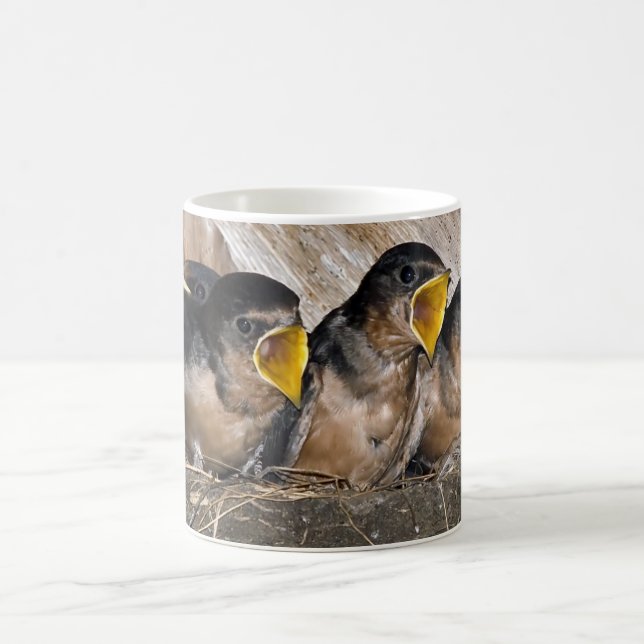 Singing Swallow Chicks - Mugs (Center)