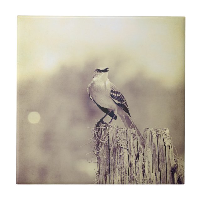 Singing to the world! tile (Front)